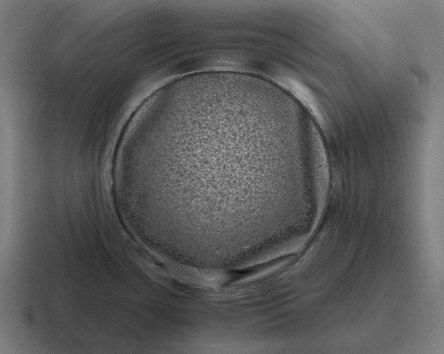 X0000116761435200912311810