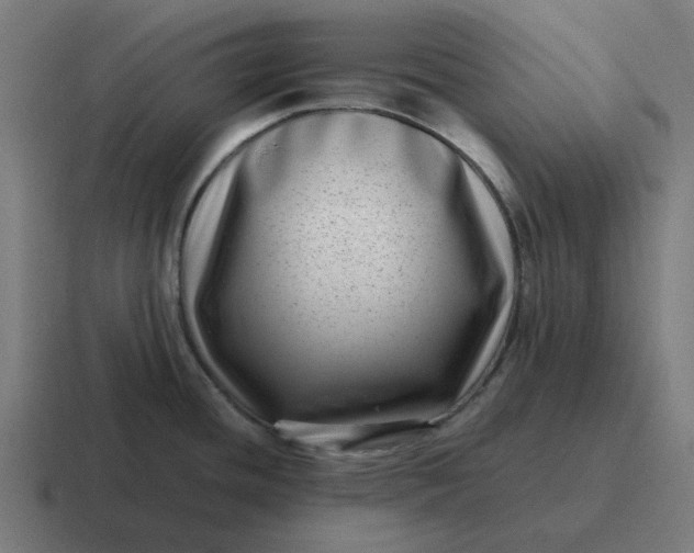 X0000116761436200912311810