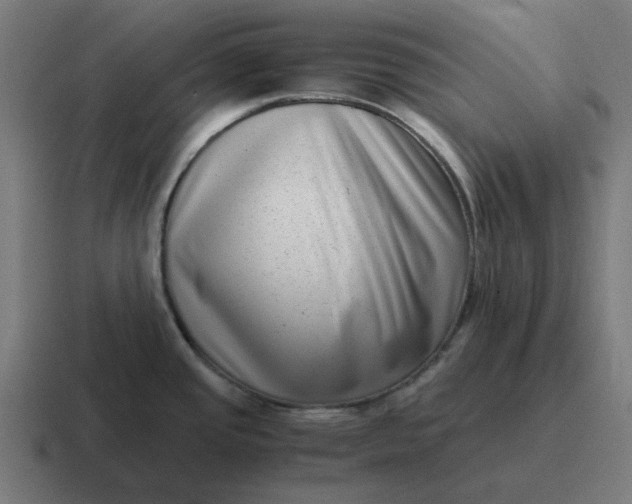 X0000116761437200912311810