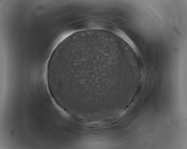 X0000116761439200912311810