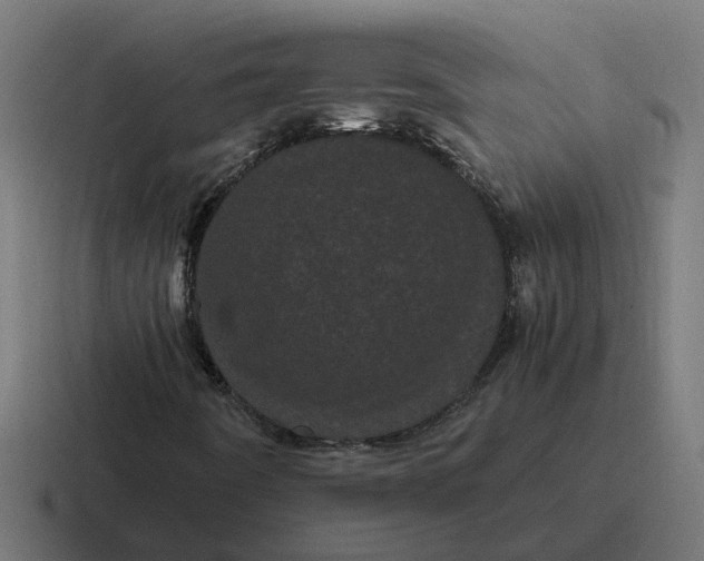 X0000116761442200912311809