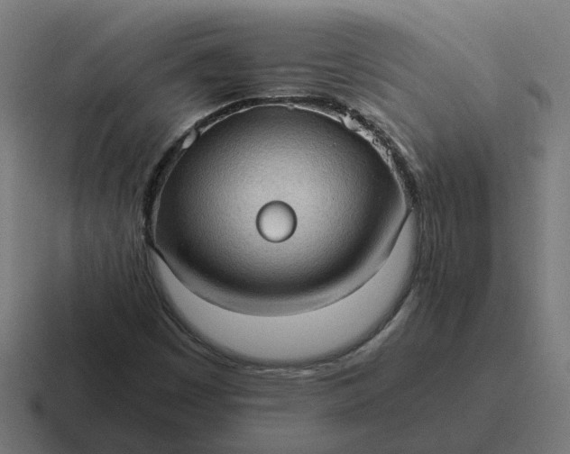 X0000116761449200912311809