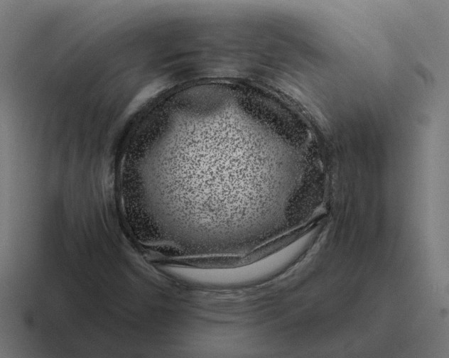 X0000116761450200912311809