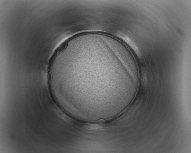 X0000116761460200912311809
