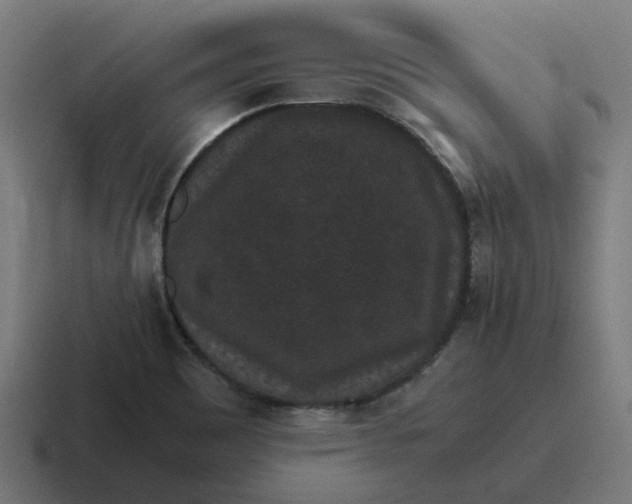 X0000116761465200912311809