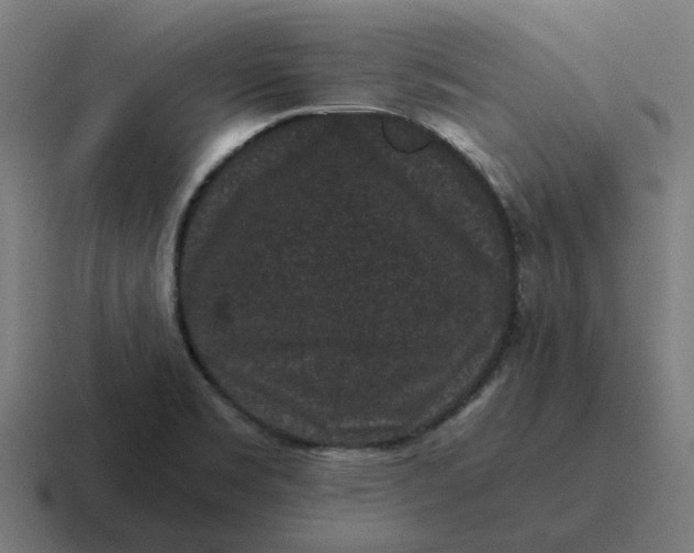 X0000116761469200912311809