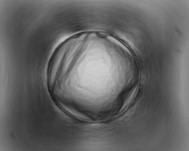 X0000116761471200912311809