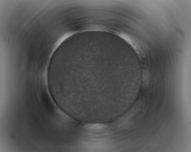 X0000116761474200912311809