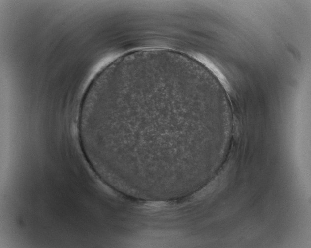 X0000116761477200912311809