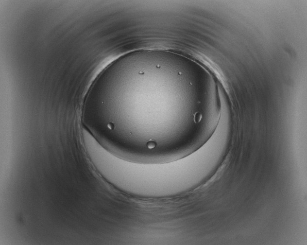 X0000116761481200912311809