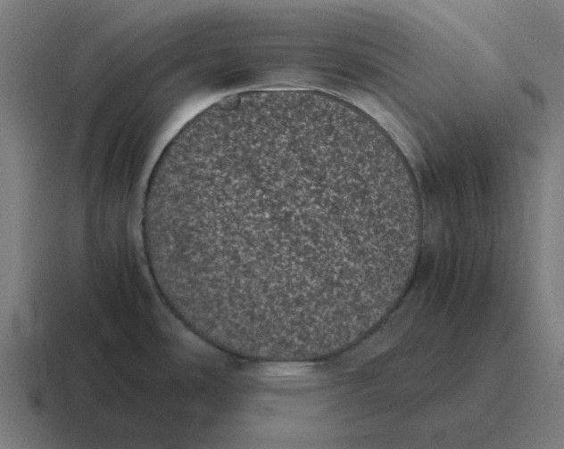 X0000116761486200912311809