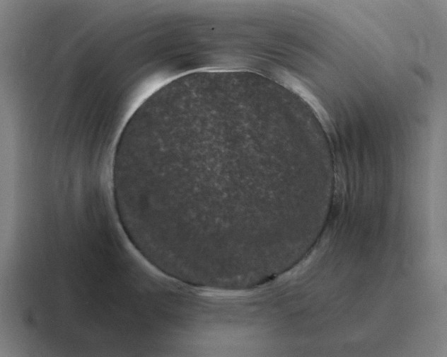 X0000116761487200912311809