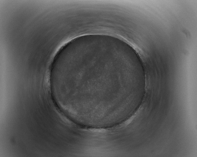 X0000116761498200912311808