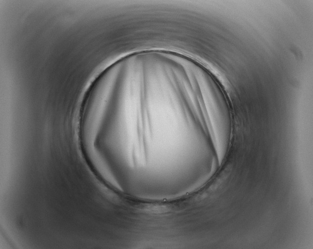 X0000116761525200912311809