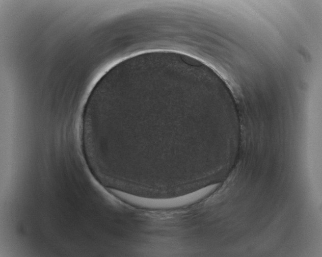 X0000116761527200912311809