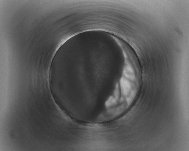 X0000116761529200912311809