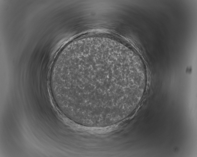 X0000116760001201001071205