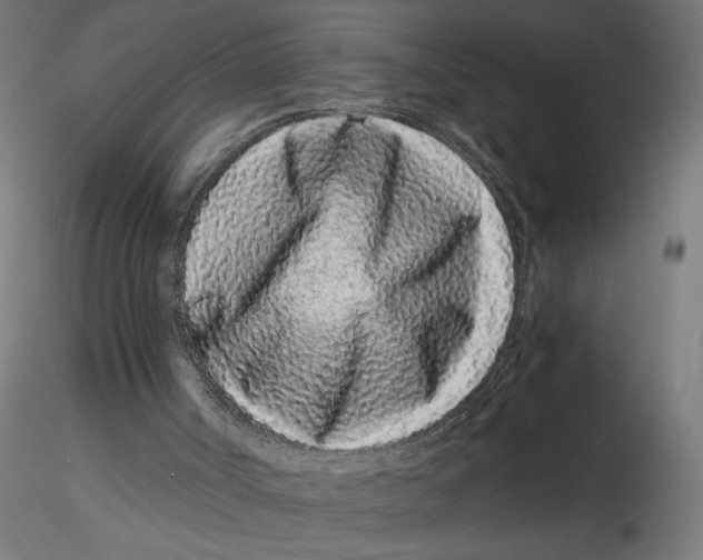 X0000116760002201001071205