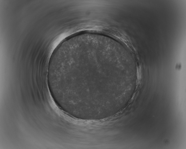 X0000116760003201001071205