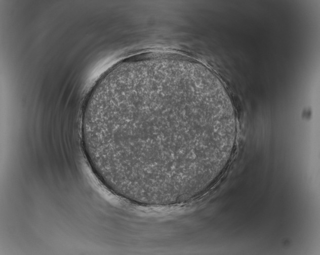 X0000116760005201001071205