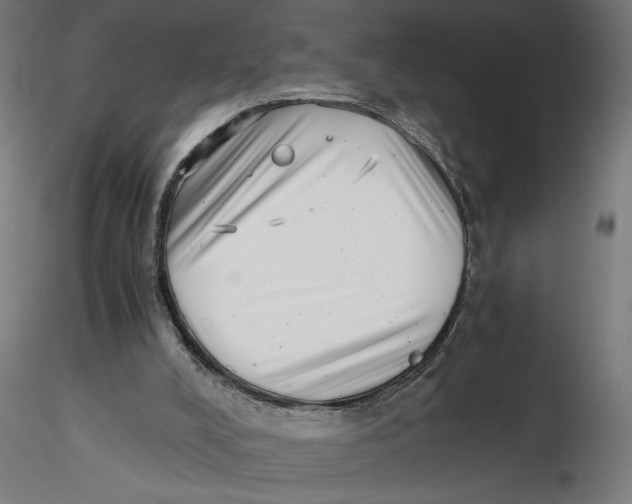 X0000116760008201001071205