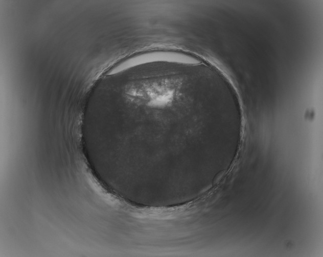 X0000116760009201001071205