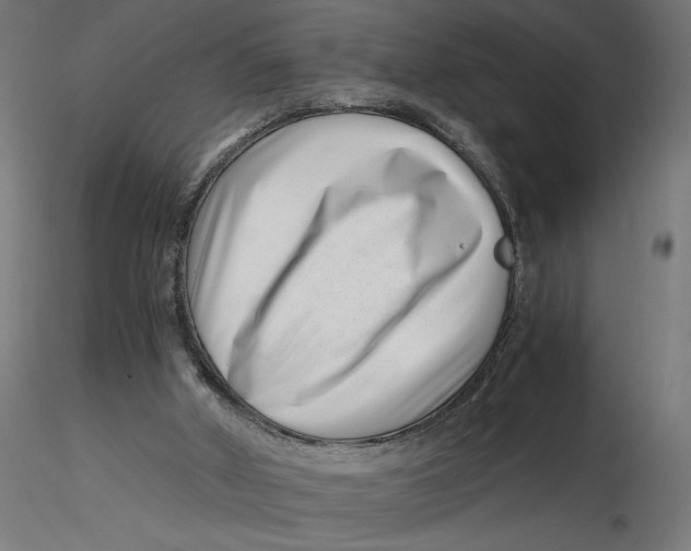 X0000116760010201001071205