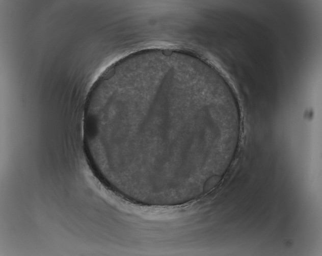 X0000116760011201001071205