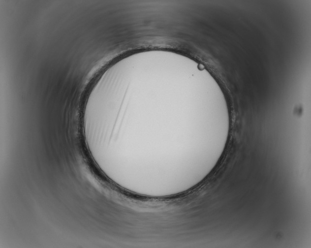 X0000116760012201001071205