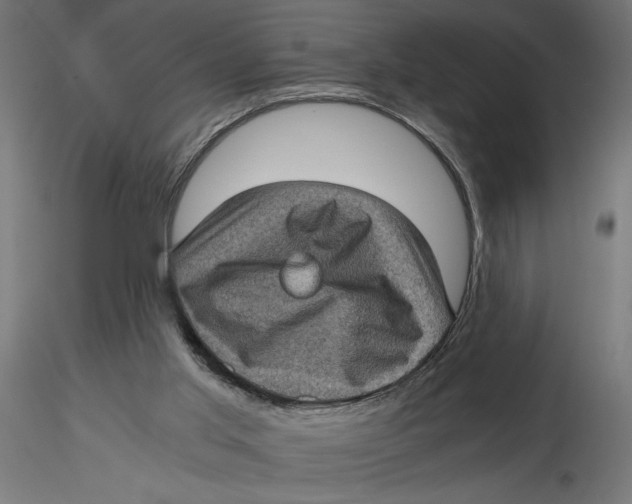 X0000116760013201001071205