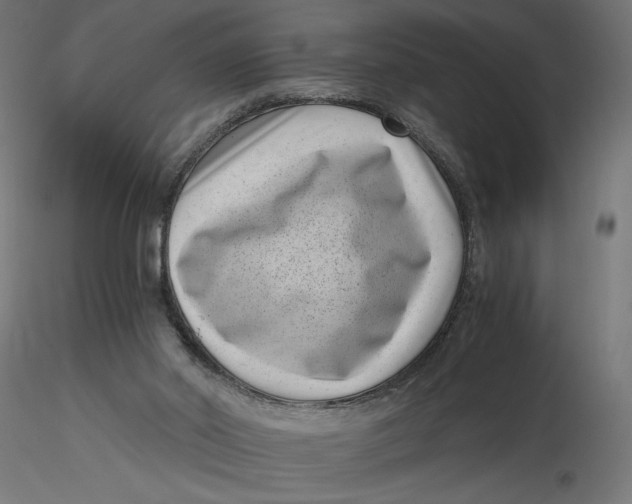 X0000116760014201001071205