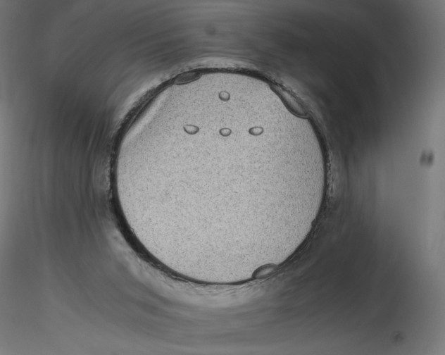 X0000116760015201001071205