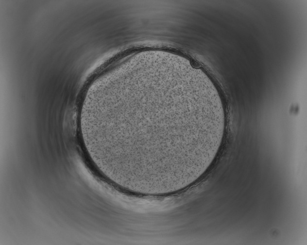 X0000116760016201001071205