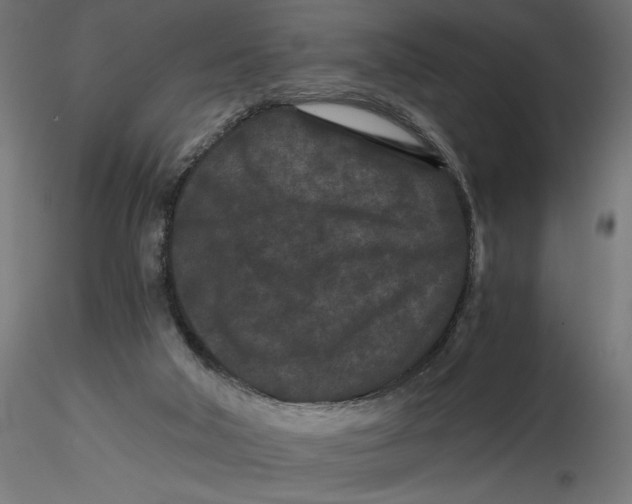 X0000116760018201001071205