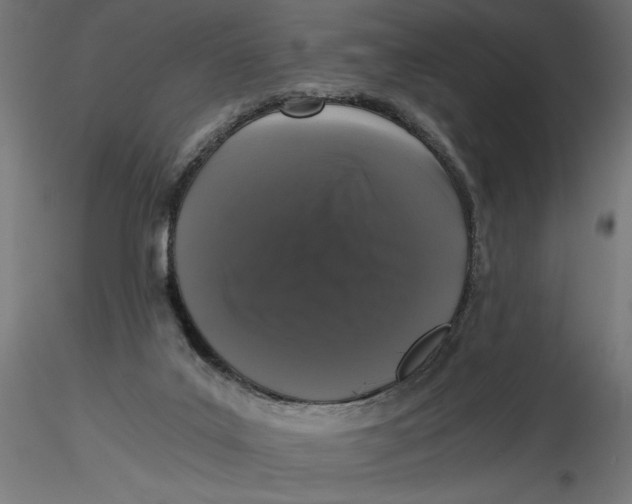 X0000116760019201001071205