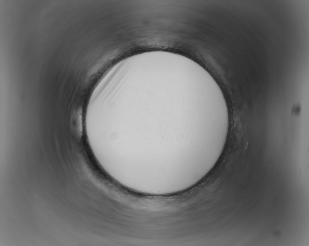 X0000116760020201001071205