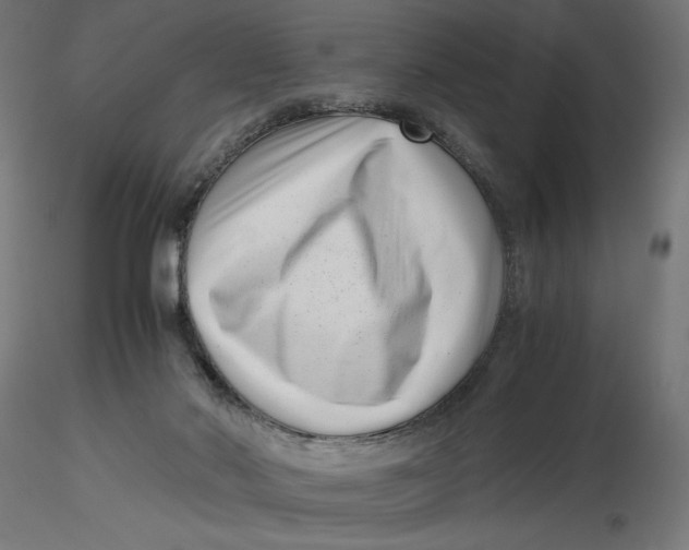 X0000116760022201001071205