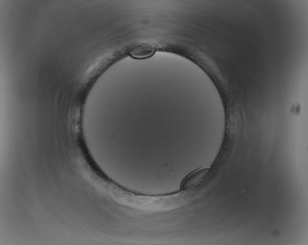 X0000116760023201001071205