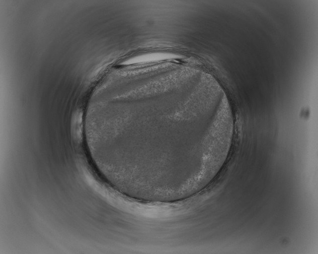 X0000116760024201001071204