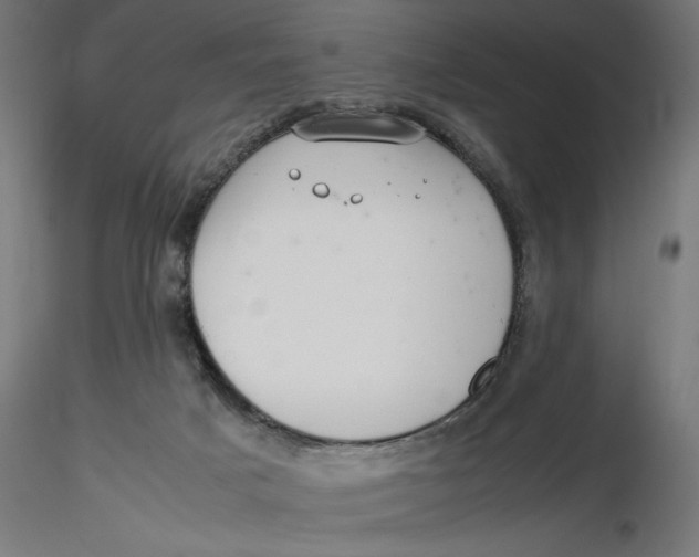 X0000116760025201001071204