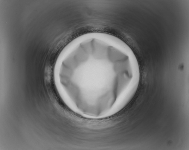 X0000116760026201001071204