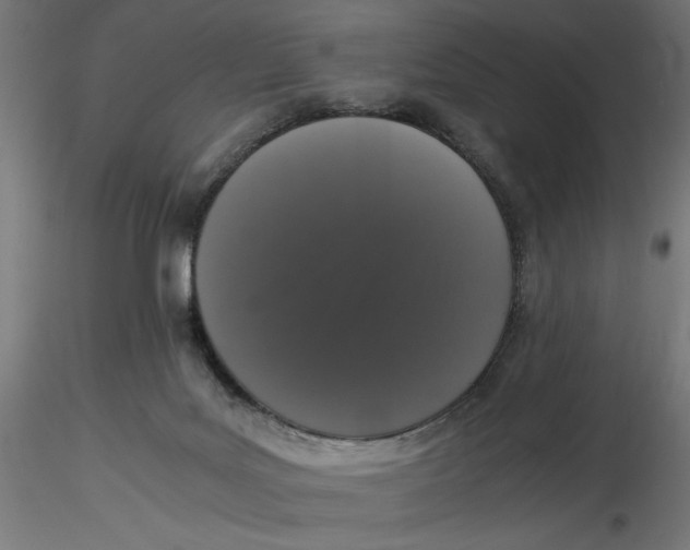 X0000116760027201001071204