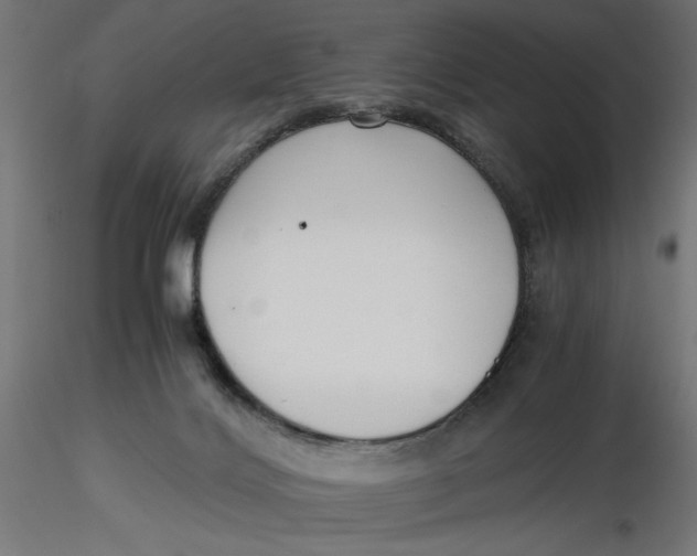 X0000116760028201001071204