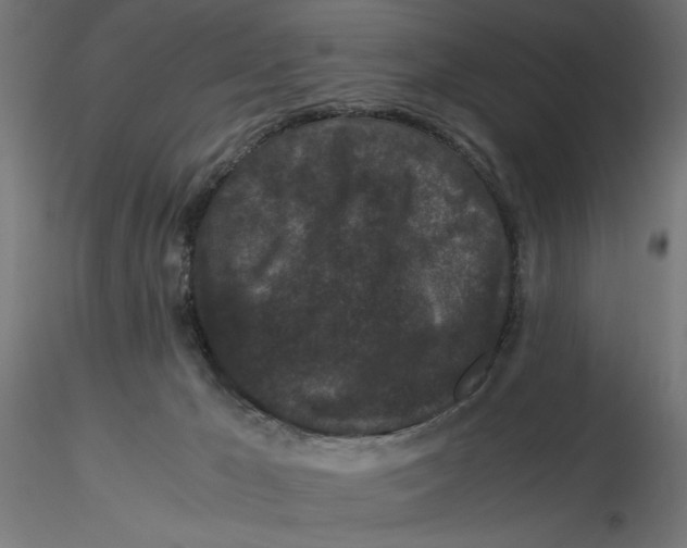 X0000116760029201001071204