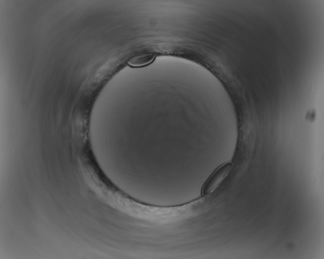 X0000116760031201001071204