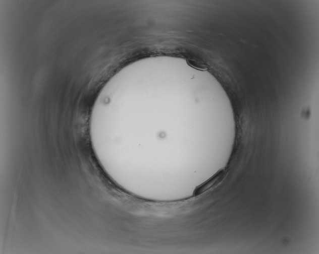 X0000116760033201001071204