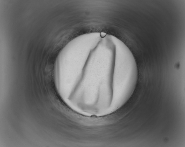 X0000116760034201001071204