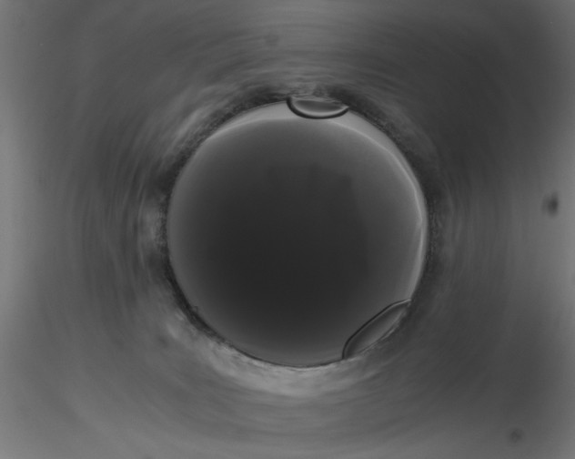 X0000116760035201001071204