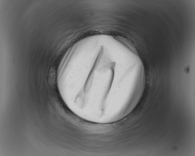 X0000116760036201001071204