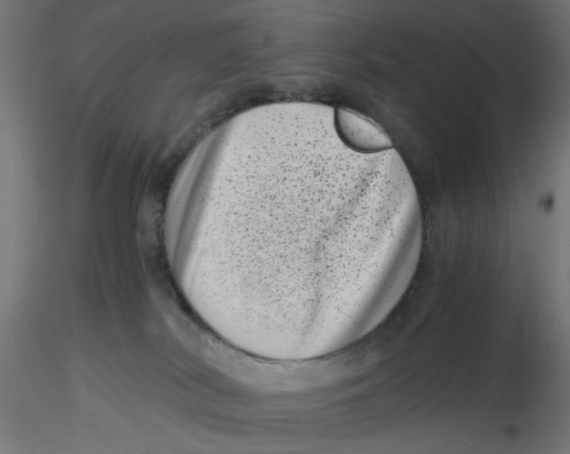 X0000116760038201001071204